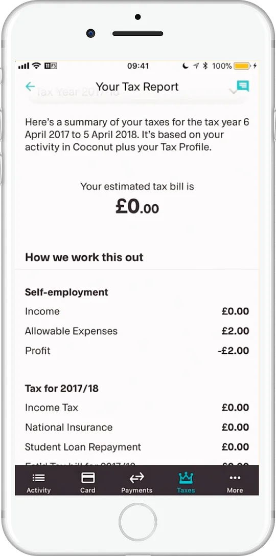 Coconut’s Tax Report Interface